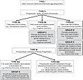 Traditional classification of mixotrophic protists