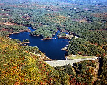 USACE Everett Lake and Dam.jpg