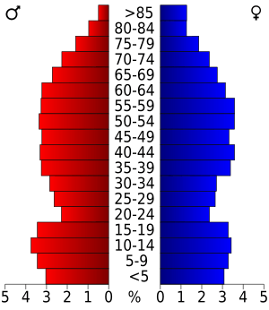 USA Delaware County, Oklahoma age pyramid