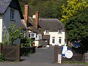 West Somerset Rural Life Museum.JPG