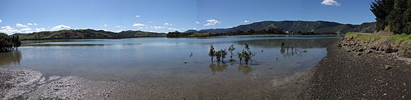 Whangape harbour panorama