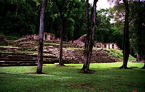 Yaxchilan Main Plaza