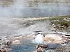 Young Hopeful Geyser detail.jpg