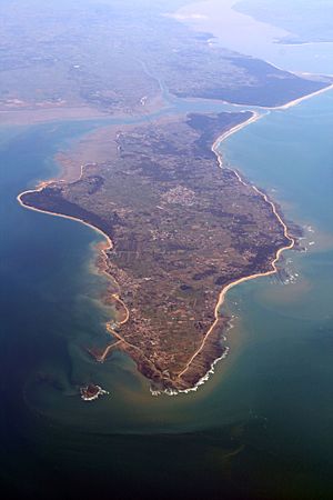 Île d'Oléron aerial view