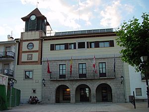 Ayuntamiento de Collado Mediano