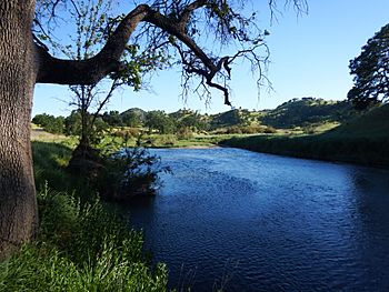 Bear Creek (Colusa County).jpg