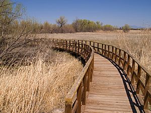 Boardwalk, Arivaca, AZ