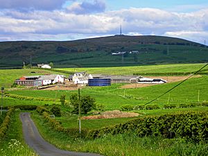 Caddell Farm - geograph.org.uk - 177218