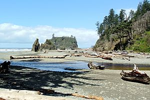 Cedar Creek Abbey Island Ruby Beach