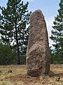 Cham des Bondons menhir