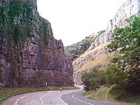 Cheddargorge.jpg