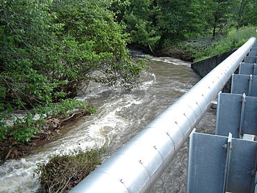 Creek flood 1