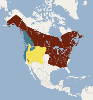 Distribution of Myotis lucifugus.png