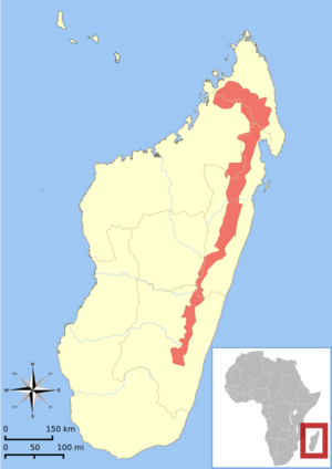 Eulemur rubriventer range map.svg