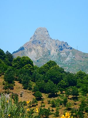 Faccia rocca salvtesta,sicily