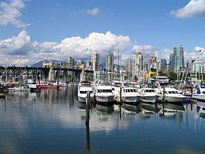 False Creek 1