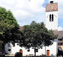 Frenkendorf, Evangelisch-reformierte Kirche.jpg