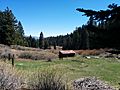 Frog Meadow, Sequoia National Forest