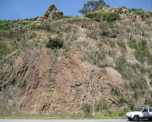 Glen Canyon Park Chert Outcrop