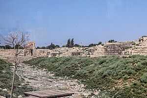 Harran city walls