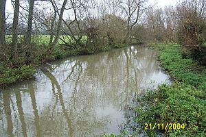 Hinksey Stream, North Hinksey Village - geograph.org.uk - 67679