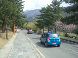 In the middle of Thimphu