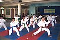 JJS Dojo