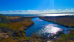 Lake Montauk by Don Ramey Logan