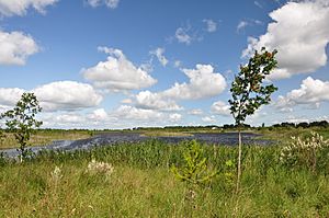 Lough Boora Parklands