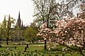 Marktkirche seen from the Warmer Damm, Wiesbaden, Germany