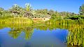 Neot Kedumim lake view