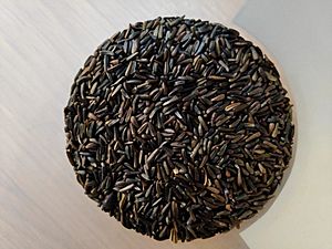 Niger Seed