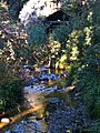 Old Mill Creek with Old Mill, Mill Valley, CA Hugh Kuhn Winter 2011