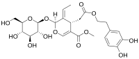 Oleuropein structure.svg