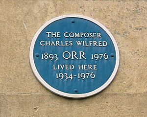 Orr plaque