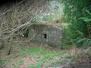 P305 Catheugh Plantation Pillbox