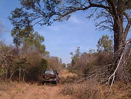 ParaguayChacoBorealdryseason