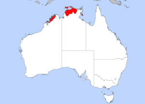 Pitta iris distribution.png