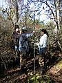 Pollen core sampling