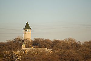 Prospect Park viewed from Stadium Village, with the conspicuous Prospect Park Water Tower