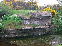 Pulpit at Corsehill, Stewarton.