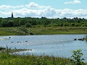 Rainton Meadows.jpg