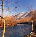 Riparian Lehigh River