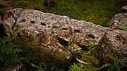 Rock Art Ballyedmonduff Wedge Tomb