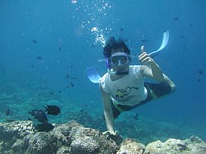 Sea Garden of BUNAKEN