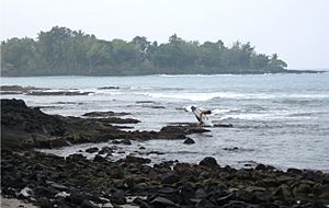 Surfer Entering at Banyans