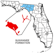 Suwannee Formation map