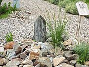 Tombstone-Boothill Graveyard-Dan Kelley