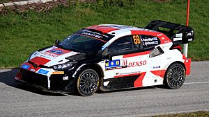 WRC Central European Rallye 2023 Nr. 69 (4).jpg