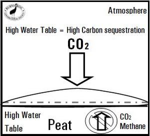 Water Table Graphic